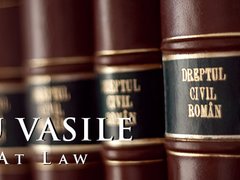Deleanu Vasile - Societate de avocati